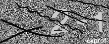 Captcha Kép