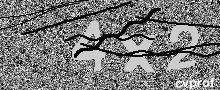 Captcha Kép