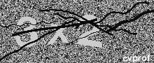 Captcha Kép