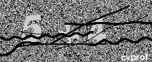 Captcha Kép