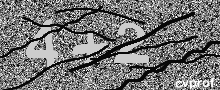 Captcha Kép