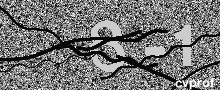 Captcha Kép