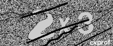 Captcha Kép